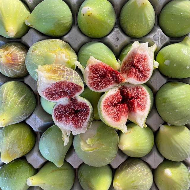 CanadianFigs Growing Fig Trees in Toronto, Mississauga, GTA, Oakville