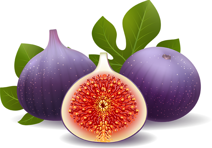 Sucrette Fig  Comprehensive Variety Review